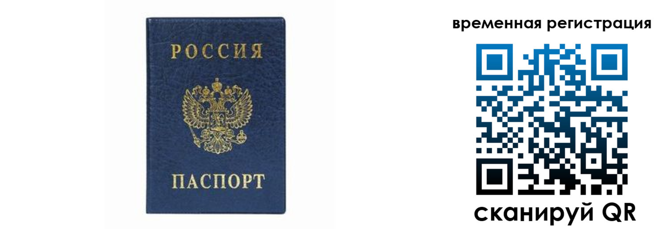 прописка от собственника в Ельне